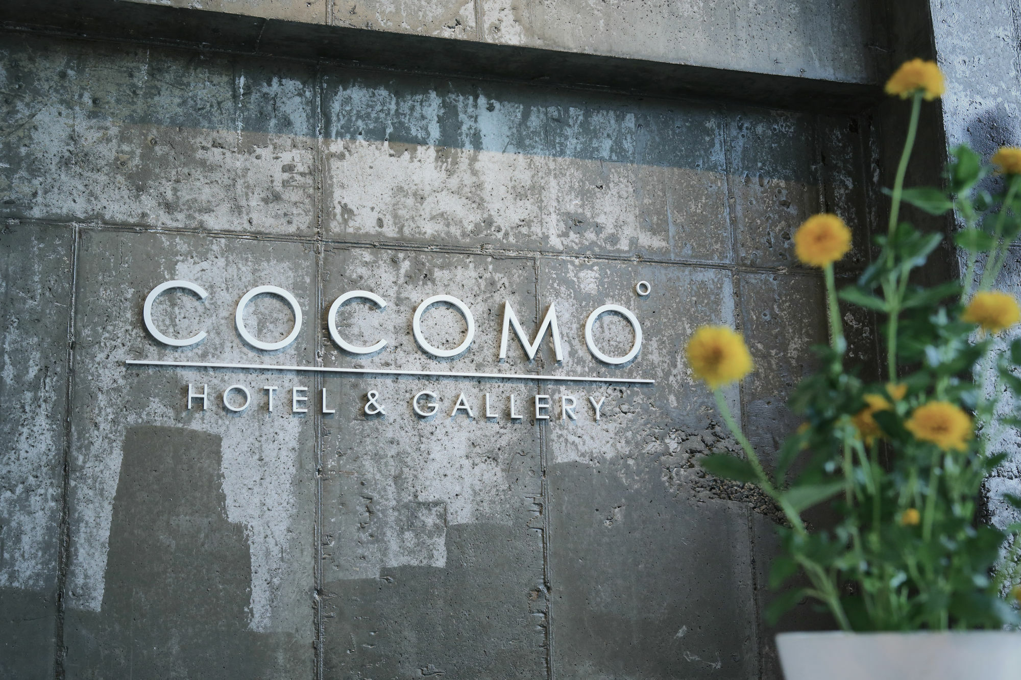 Hotel Cocomo Seoul Exterior photo
